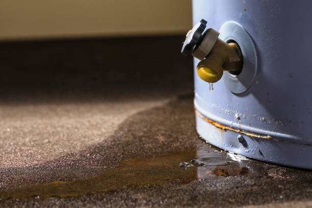 Best 24/7 water damage repair  in Athens, OH