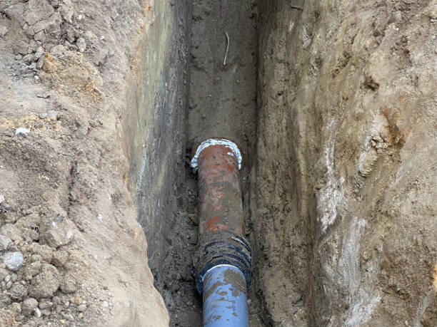 Best Local water damage restoration  in Athens, OH
