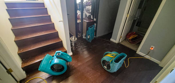 Best Carpet water damage restoration  in Athens, OH