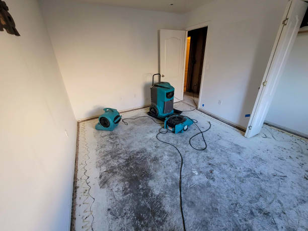 Best Sewage cleanup and water damage restoration  in Athens, OH