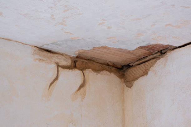 Best Ceiling water damage repair  in Athens, OH