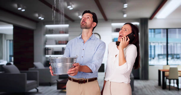 Best Water damage contractors near me  in Athens, OH